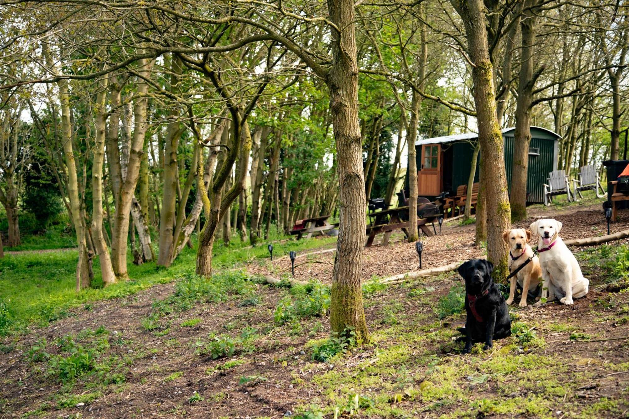 North Norfolk Glamping Villa Holt  Exterior photo