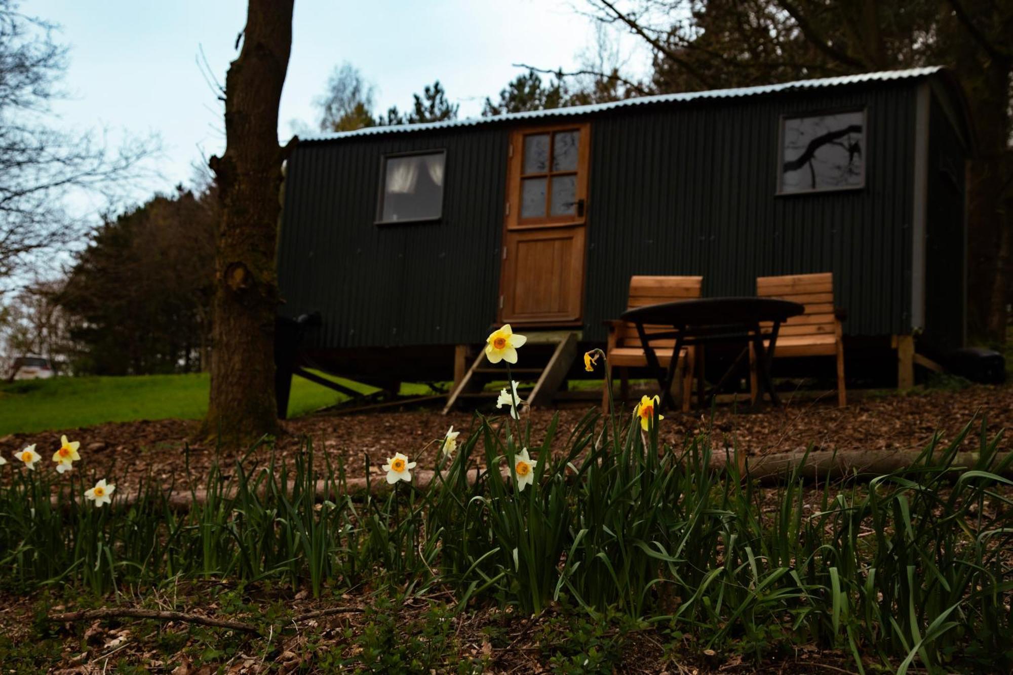 North Norfolk Glamping Villa Holt  Exterior photo